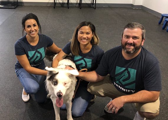 Meridian Canine Rescue and Zennify Project